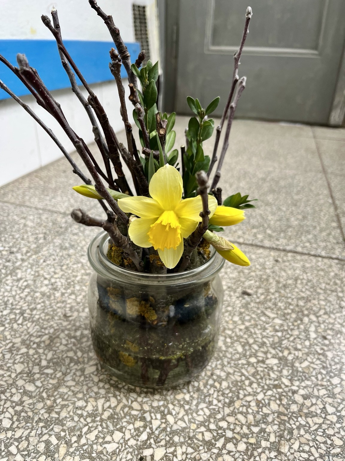 Jarní dekorace s narcisy — tvorba Sany